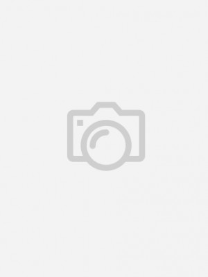 CALL OF DUTY WWII GOLD EDITION FULL ESPAÑOL PS4