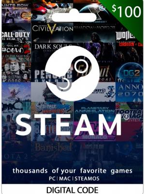 STEAM 100 USD